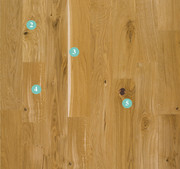 Examples of different features of wood in parquet.