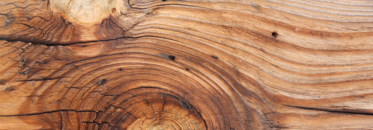 Querschnitt einer Holzart für Bauwerk Parkett mit Maserung und Altersringen